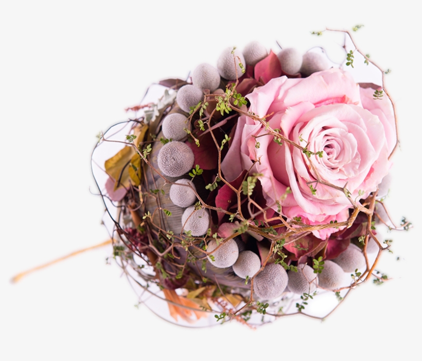 Celebraciones - Bouquet, transparent png