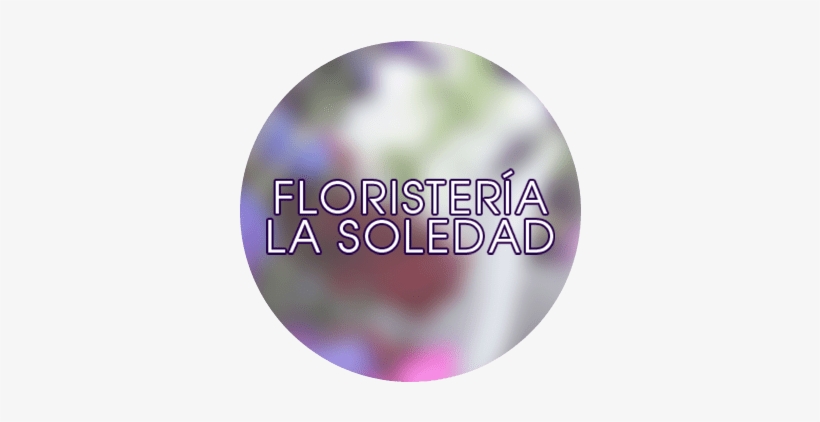 Circle, transparent png