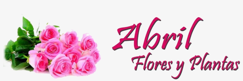 0 - Al Furqan Community College, transparent png