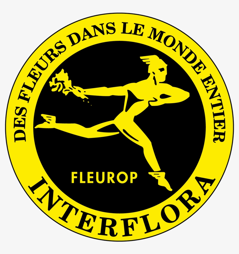 Imagen - Interflora, transparent png