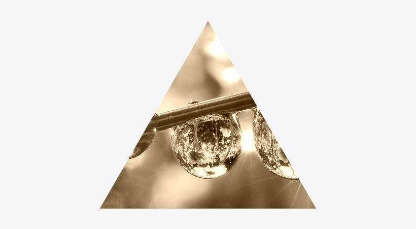 Dew-drops - Dew Drops On Leaves, transparent png