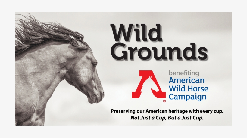 Save Wild Horses - Wild Horse, transparent png