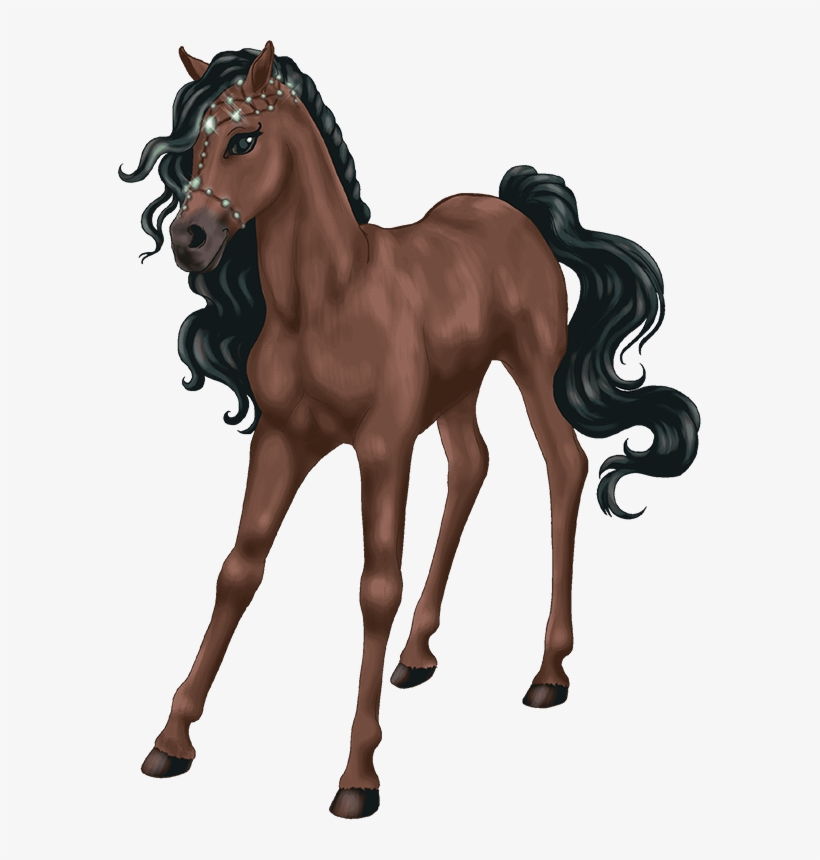 Gp Bs Ab Fp Foal Jewell20130802 2538 1c03gsz 0 - Bella Sara Legendary Horse, transparent png