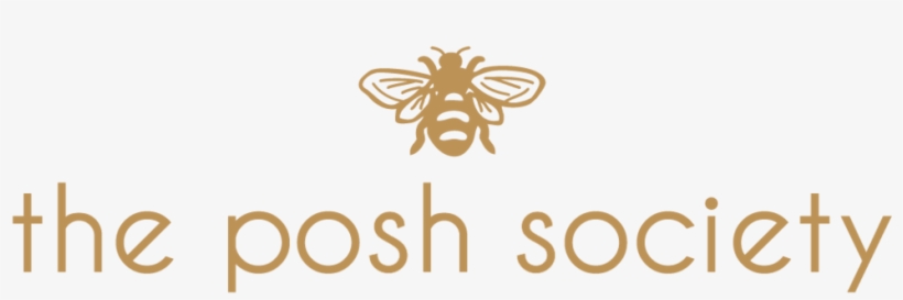 Logo, transparent png