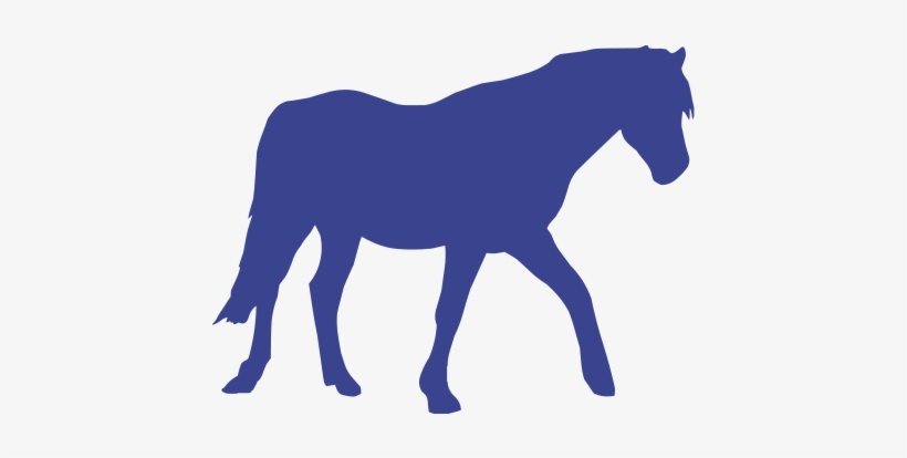 Horse, transparent png