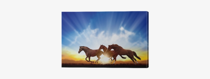 Horses Running In The Sunset, transparent png