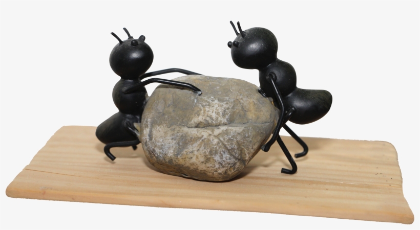 Png Image Pngpix Resolution X Format Keywords - Ant Teamwork Transparent, transparent png