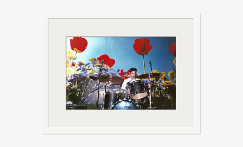 Los Angeles June - Los Angeles, transparent png