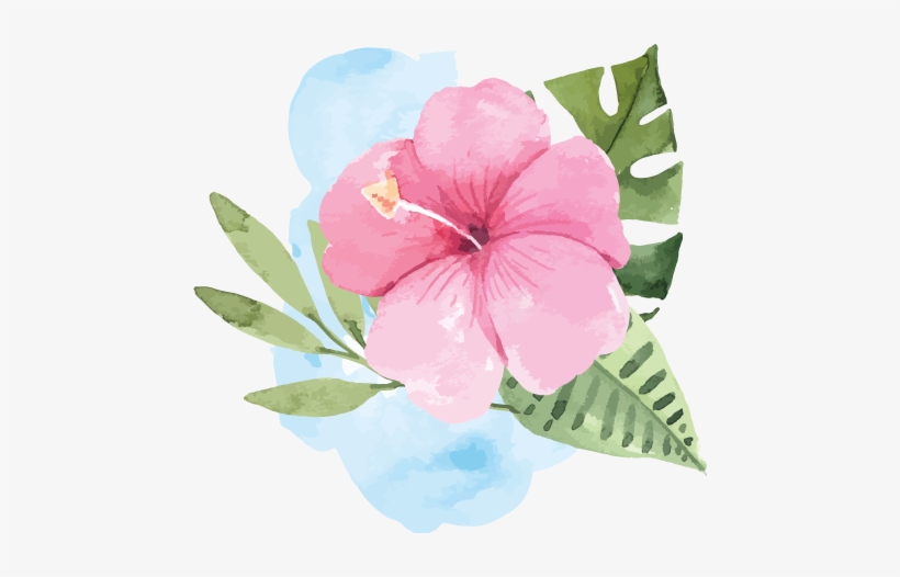 Budget, transparent png