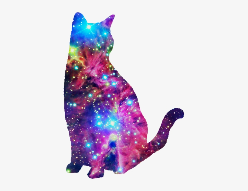 Galaxy Cat, I Don't Know Why I Like This So Much Haha - Galaxy Cat Black Background, transparent png