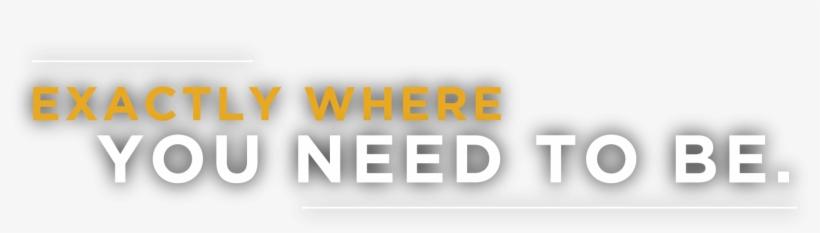 Mainheader New - The Bridge On Forbes, transparent png