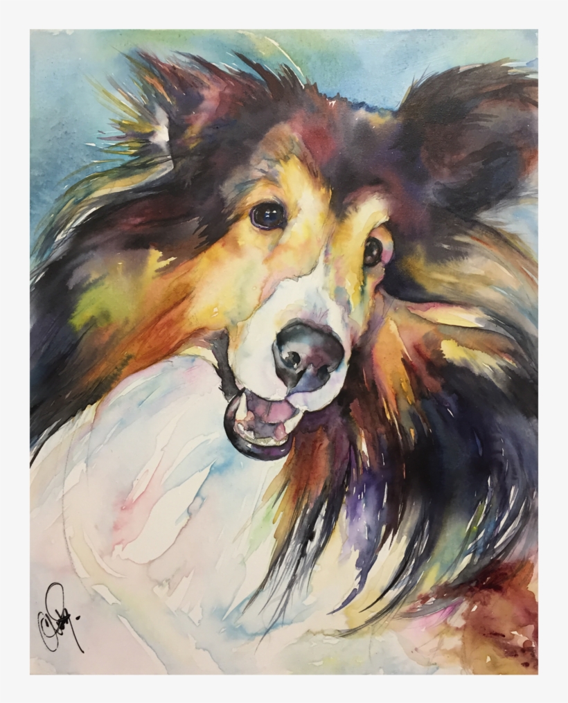 Sheltie Portrait Christystudios, transparent png