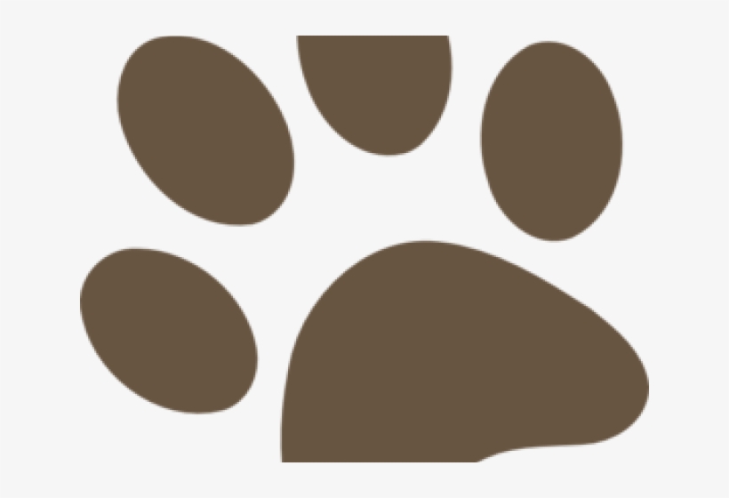 Paw, transparent png