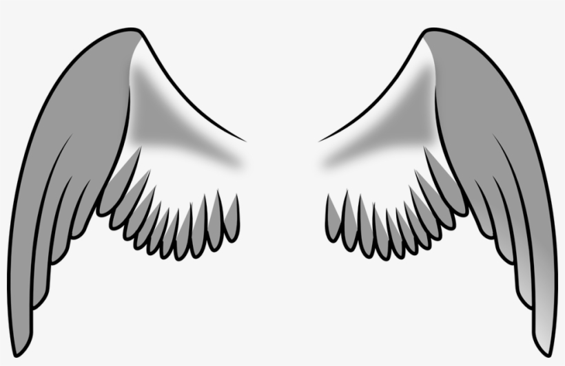 Free Vector Angel Wings Collection - Alas De Una Ave, transparent png