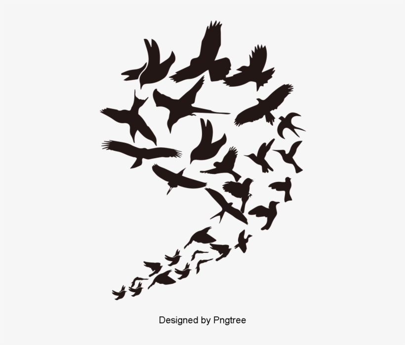 Birds Flying In The Air Are Lined Up With Beautiful - Bird, transparent png