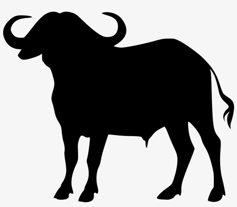 Cape Buffalo Silhouette Vector, transparent png