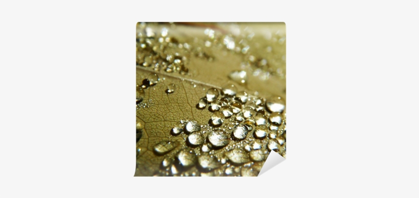 Px, File Size - Water, transparent png