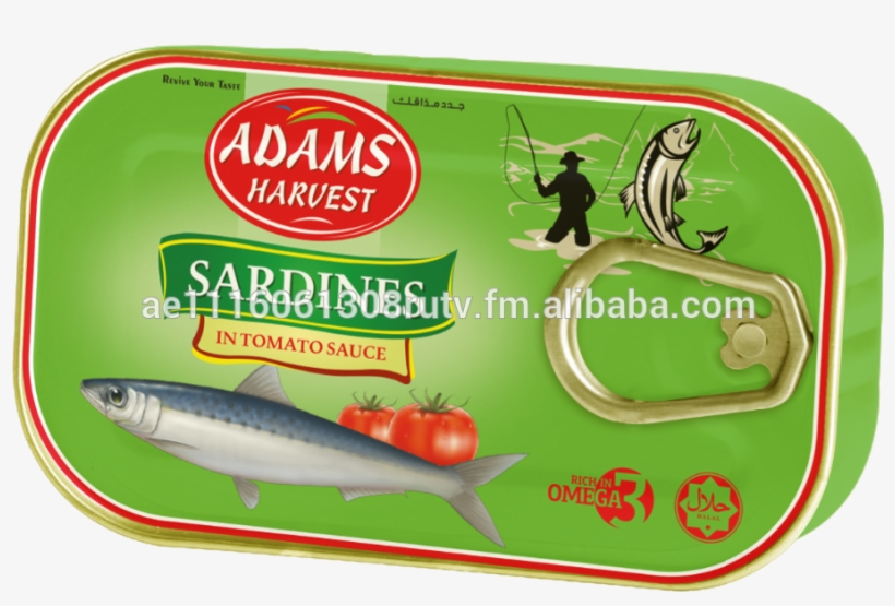 Sardines In Tomato Sauce 125 Gm Eoe - Bait Fish, transparent png