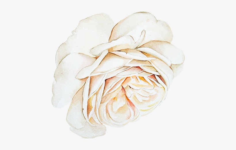 Dolly Dew Drops - Dew, transparent png