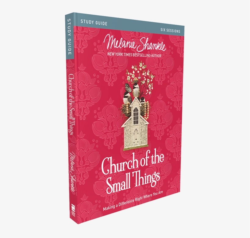 Church Of The Small Things Study Guide - Zondervan 178878 Church Of The Small Things Video Study, transparent png