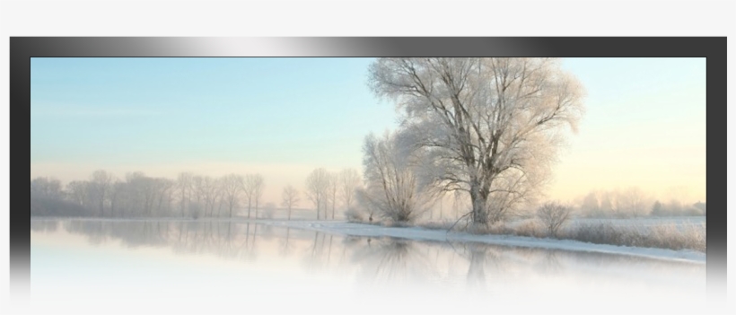 Please Select From The Following Forms Below - Tesco Frozen Tree Cushion, transparent png