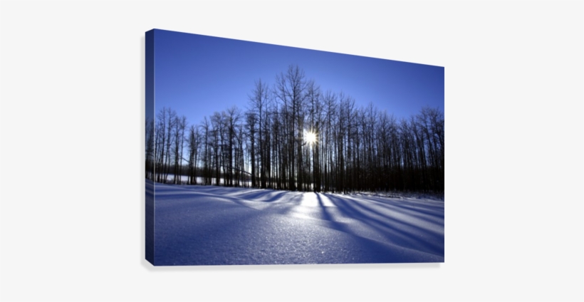 Winter Scene, Saint Bernard Pass, Swiss Alps, Switzerland - Supplier Generic Winter Scene Saint Bernard Pass Swiss, transparent png