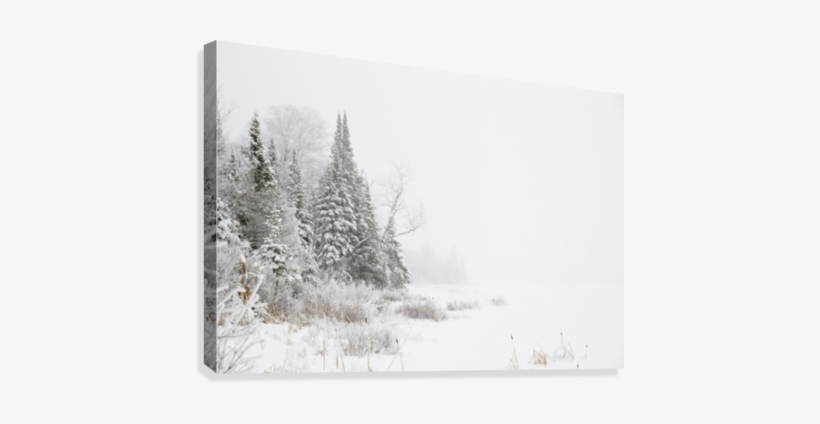 Snowy Winter Scene In The Algonquin Provincial Park - Supplier Generic Snowy Winter Scene In The Algonquin, transparent png