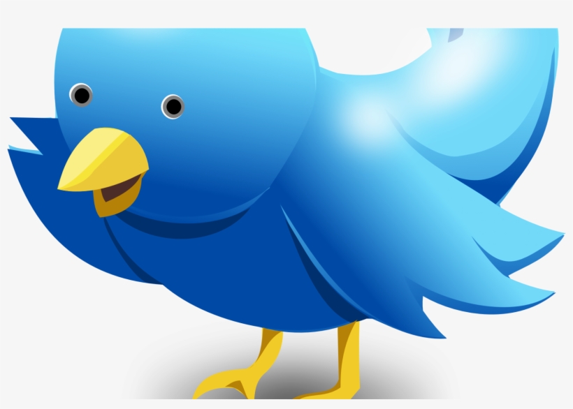 Twitter Anyone - Logo Twitter Bird, transparent png