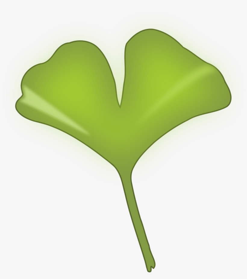 This Free Icons Png Design Of Ginkgo Biloba Leaf, transparent png