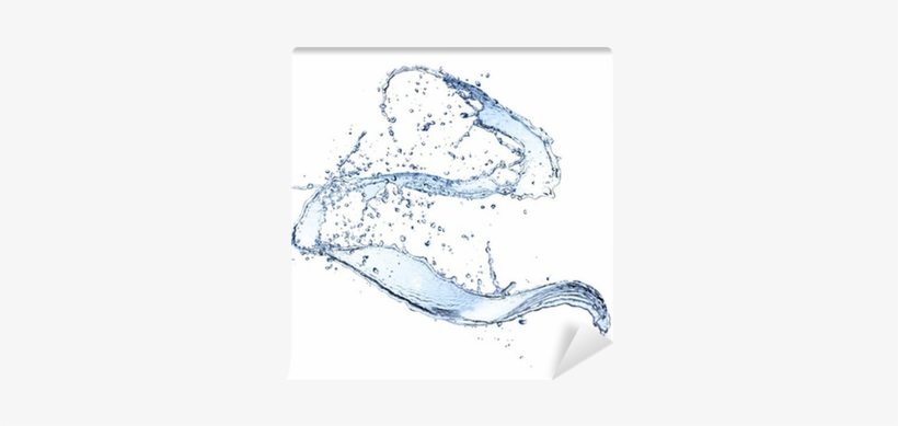 Water Splash Isolated On White Background Wall Mural - Water, transparent png