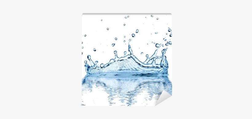 Water Splash, Isolated On White Background Wall Mural - Drop, transparent png