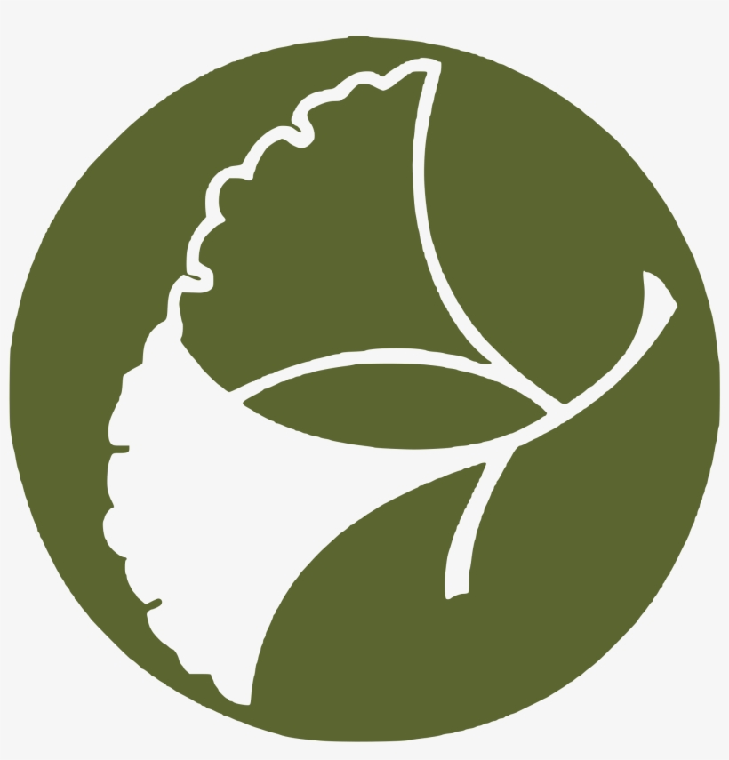 Open - Bonsai, transparent png