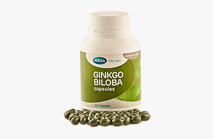 Ginkgo Biloba Sri Lanka, transparent png