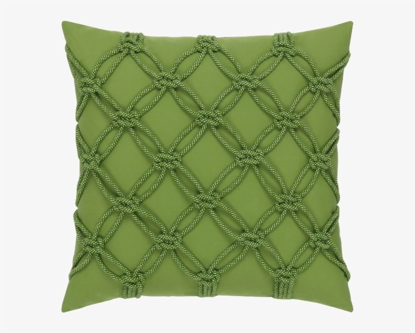 Maidenhair Tree, transparent png