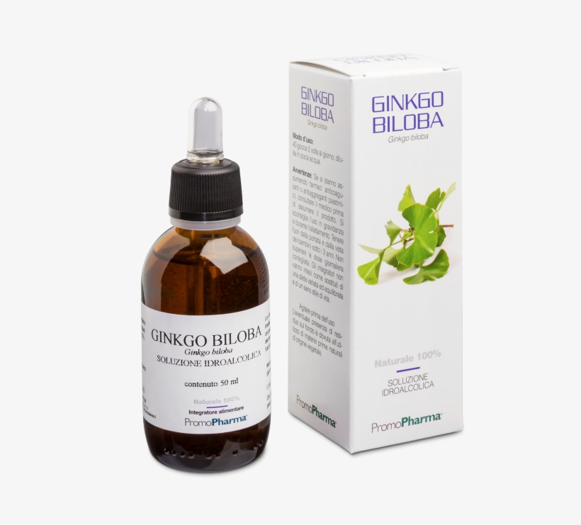 Ginkgo Biloba In Vendita A Cosa Serve, Recensioni E - Herbalism, transparent png