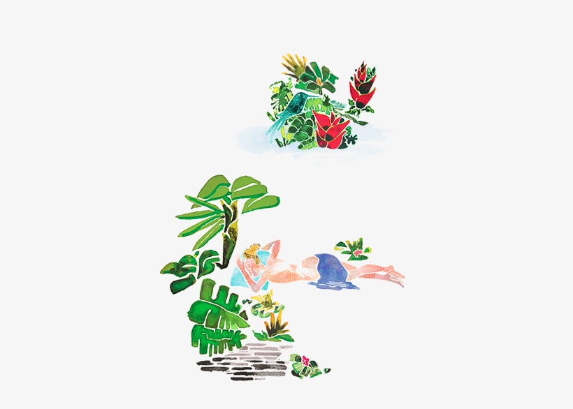 Activities - Floral Design, transparent png