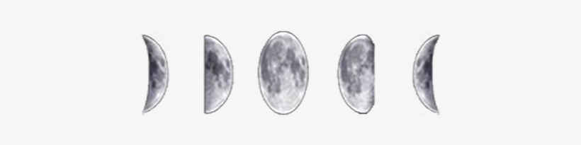 A Sirius Guide To Chicken Gettin - Earrings, transparent png