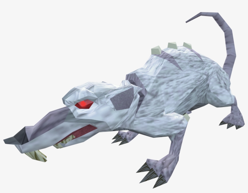 Albino Rat, transparent png