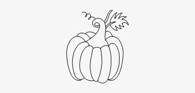 Draw Pumpkin - Step - Drawing, transparent png