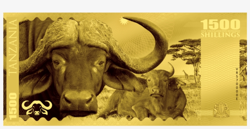Buffalo Tanzania - Tanzania, transparent png