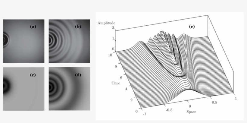 Photographs Of The Wave Field Generated By A Falling - Diagram, transparent png