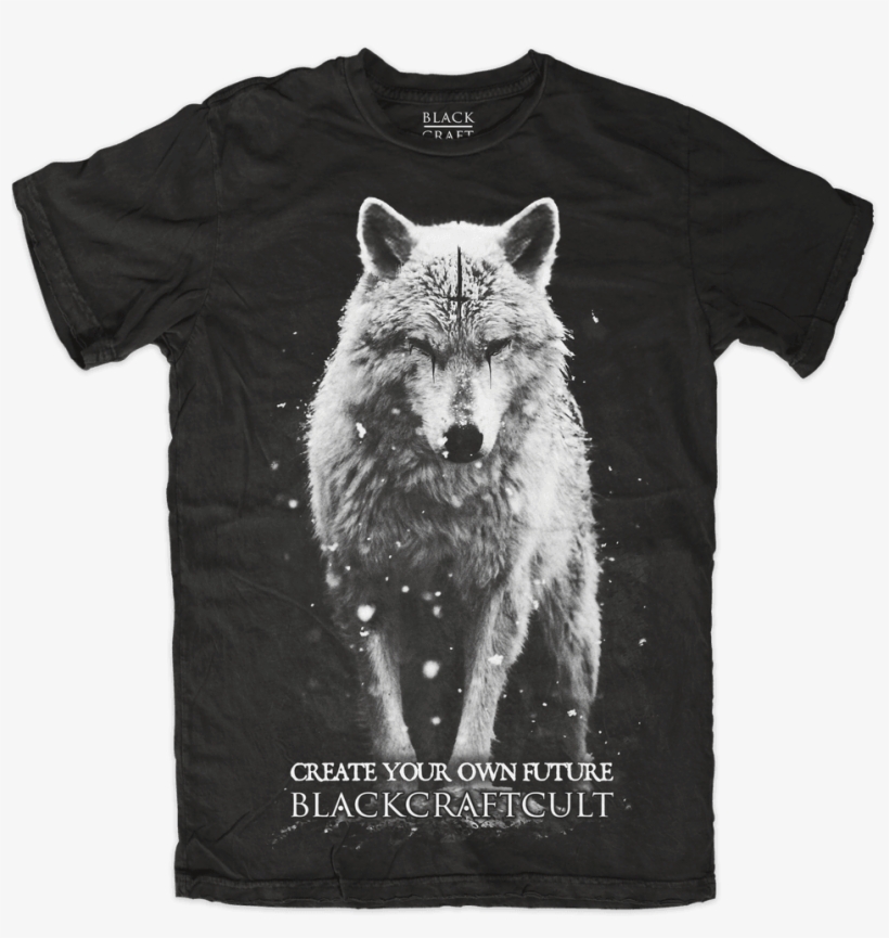 Baron Corbin Lone Wolf T Shirt, transparent png