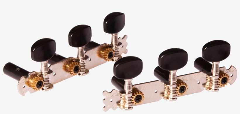 Ortega Otm-student, transparent png