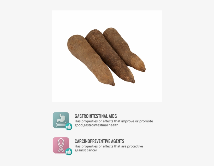 Carcinopreventive - Tubers Of Yam In Nigeria, transparent png