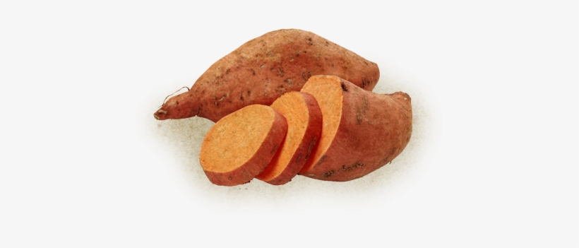 Growing Yams Is A Diffucult Task And The Size Of A - Gerber 1st Foods Vegetables - Sweet Potatoes - 2.5, transparent png