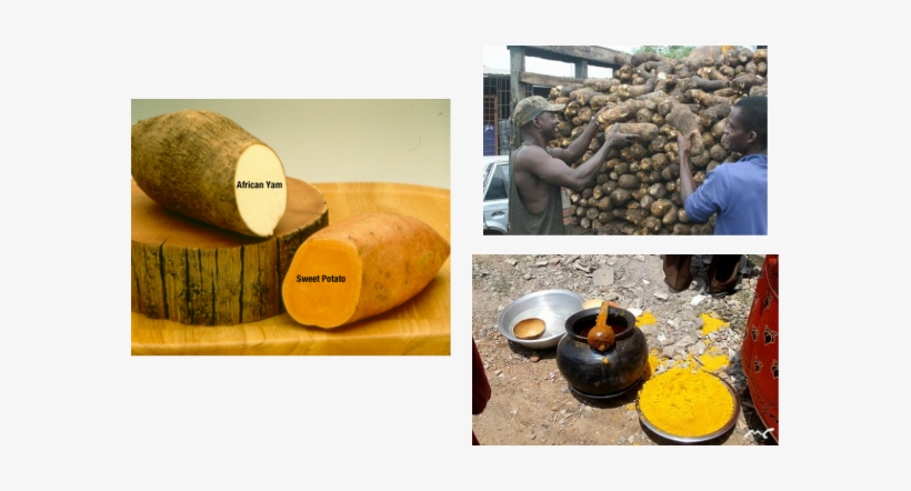 Homowo Has A Lot Of Dancing And Singing As A Special - Kiwifruit, transparent png