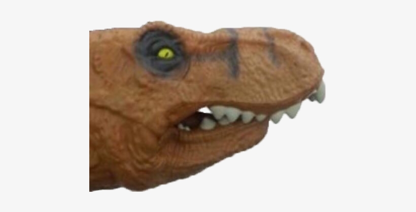 Bamboozled Discord Emoji - Don T Let This Distract You, transparent png