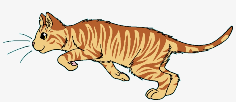Goldenflower - Warrior Cats Nettleclaw, transparent png