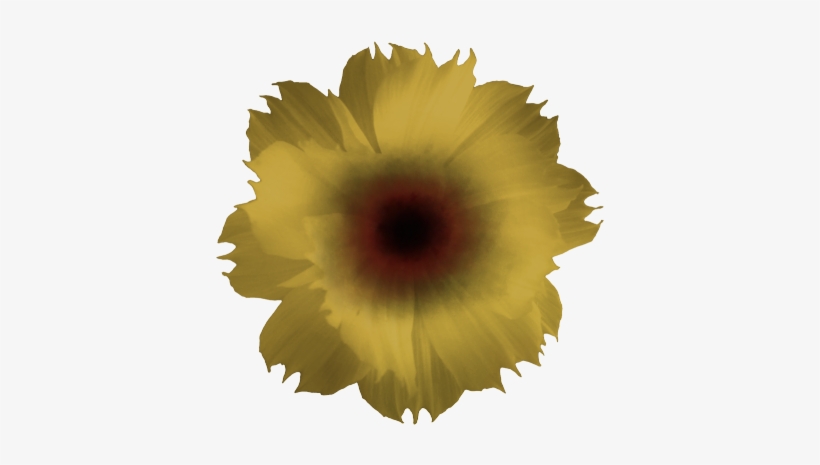 Flower Golden - Kymco Venox 250, transparent png