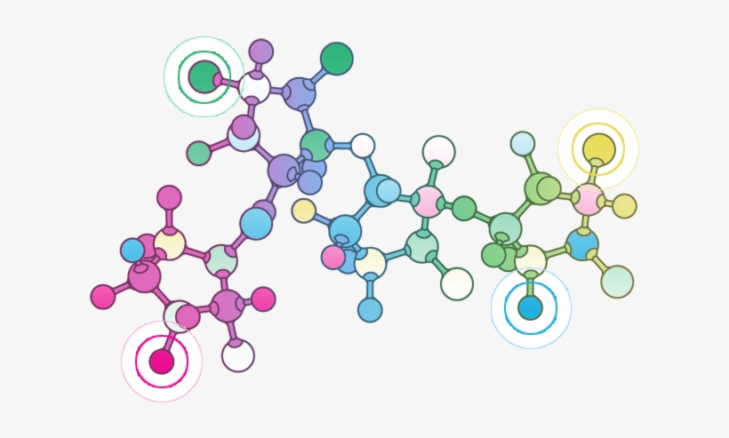 Contact Harkerbio Today - Circle, transparent png